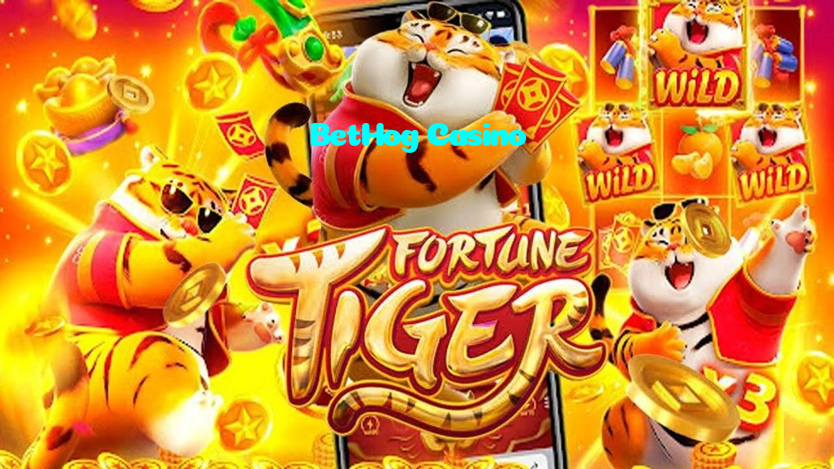 available types of BetHog Casino bet including pre-match live express and system bets