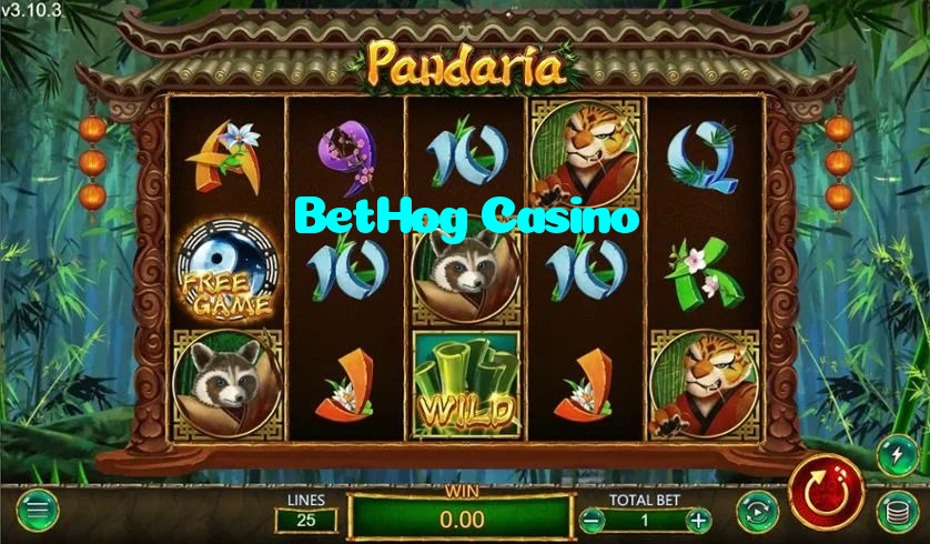 making first deposit on BetHog Casino website using local payment methods in Pakistan